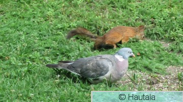 IMG_3892.JPG
