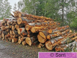 IMG_20200729_114244.jpg