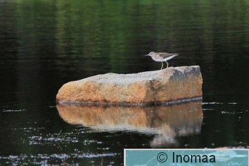IMG_1317.JPG