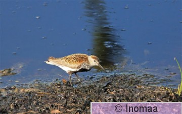 IMG_1461.JPG
