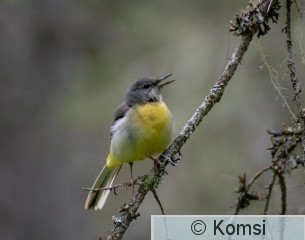 DSC_7626.jpg