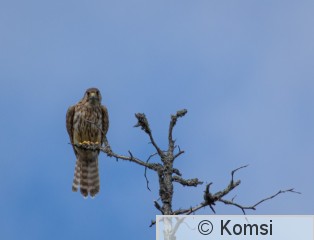 DSC_8192.jpg