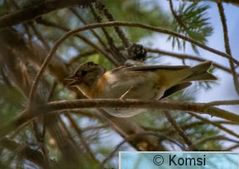 DSC_6618.jpg