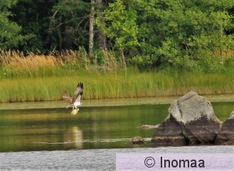 IMG_2358.JPG