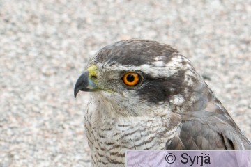 DSC_3643.jpg