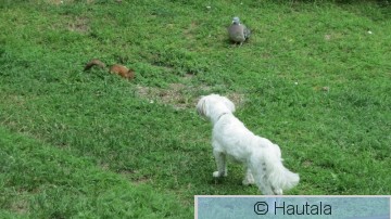 IMG_3886.JPG