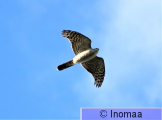 IMG_3875.JPG