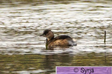 DSC_7208.jpg