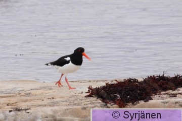 IMG_7204_2_2.JPG
