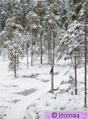 1. Pitkoksilla.JPG