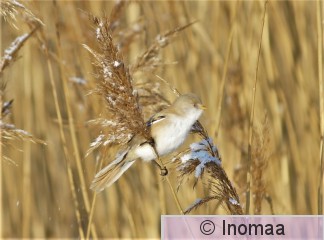 IMG_5366.JPG