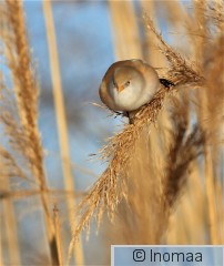 IMG_5522.JPG