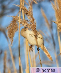 IMG_5567.JPG