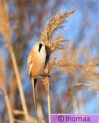 IMG_5627.JPG