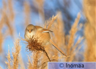 IMG_5635.JPG