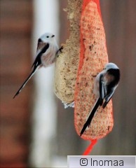 IMG_4962.JPG