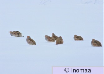IMG_5785.JPG