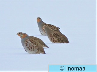 IMG_5788.JPG