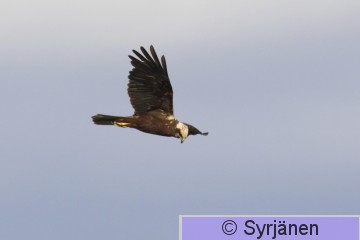 IMG_5908_2_2.JPG