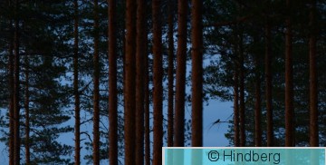 Capeur17062017_EH.jpg
