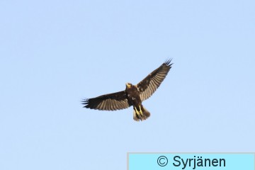 IMG_6210_2_2.JPG