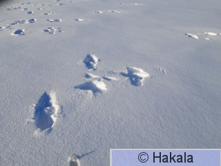 20210211_113540.jpg