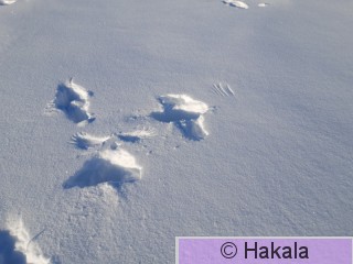 20210211_113603.jpg