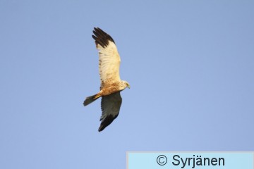 IMG_6759_2_2.JPG
