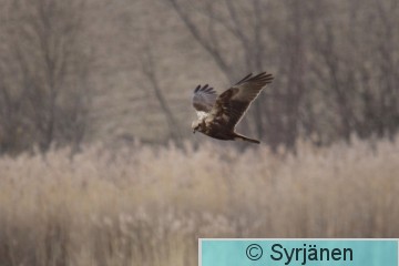 IMG_7106_2_2.JPG