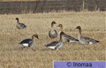 IMG_6655.JPG