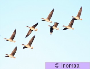 IMG_6567.JPG