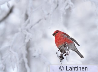 IMG_1121 instafinal.jpg