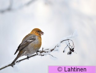 IMG_1181 insta2.jpg