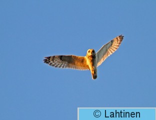 IMG_5867 k.jpg