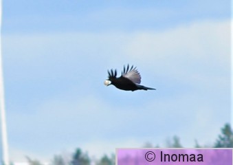 IMG_7523.JPG