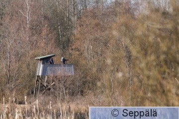 lintutorni_Iidesjarvi_Tampere210416_iso2.jpg