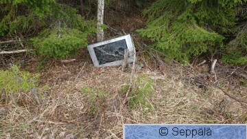 tv.JPG