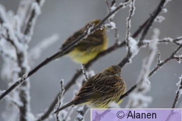 AAA_3219.JPG