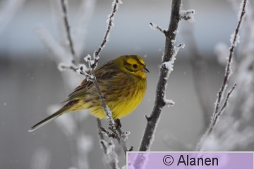AAA_3243.JPG