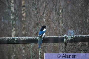 DSC_0669.JPG