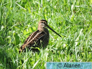 DSCN0945.JPG