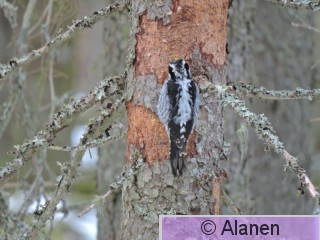 DSCN9167.JPG