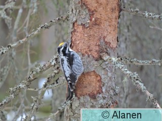 DSCN9165.JPG