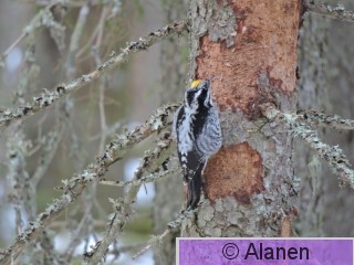 DSCN9164.JPG