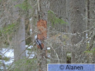 DSCN9158.JPG