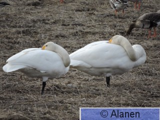 DSCN9368.JPG