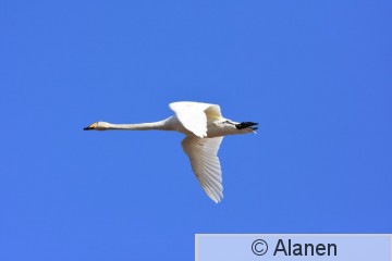 AAA_5702.JPG