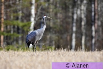 AAA_5745.JPG