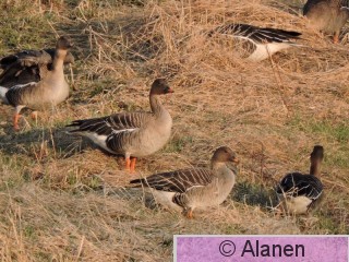 DSCN8223.JPG