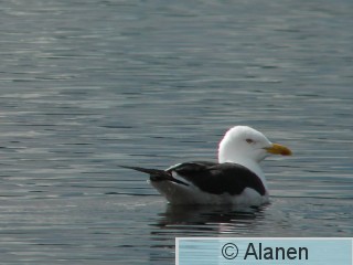 DSCN8990.JPG